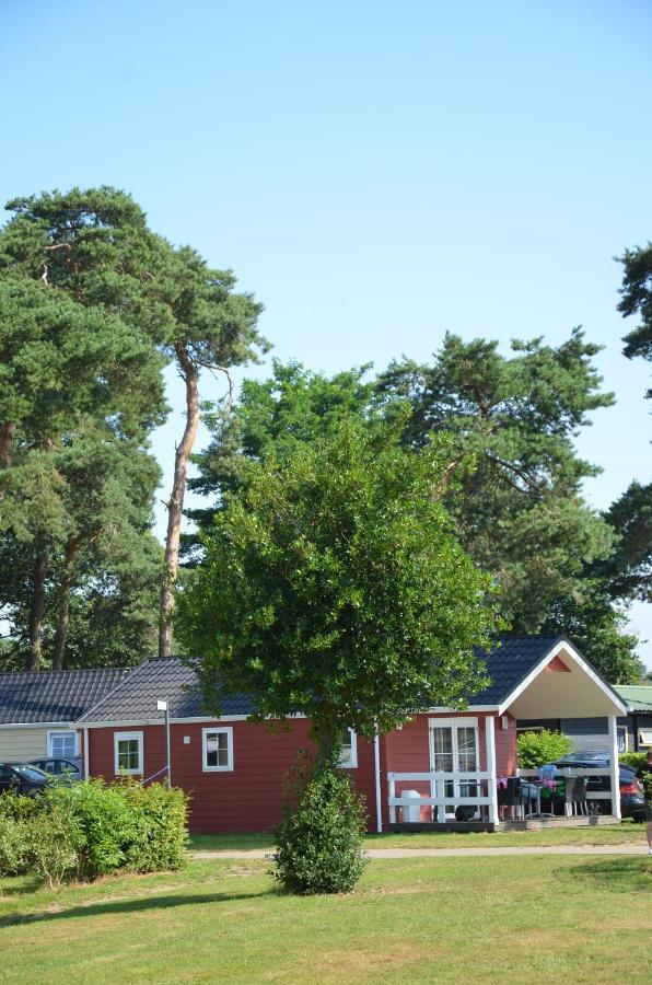 Lodge 6 Personen Camping De Molenhof Reutum Exteriör bild